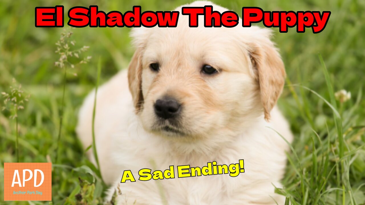 El Shadow The Puppy - A Sad Ending