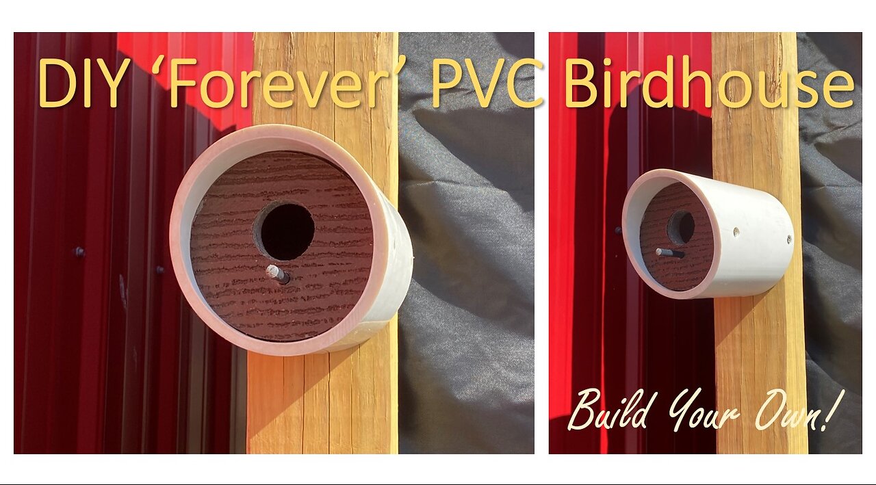 TNT #216: DIY PVC Birdhouse Build