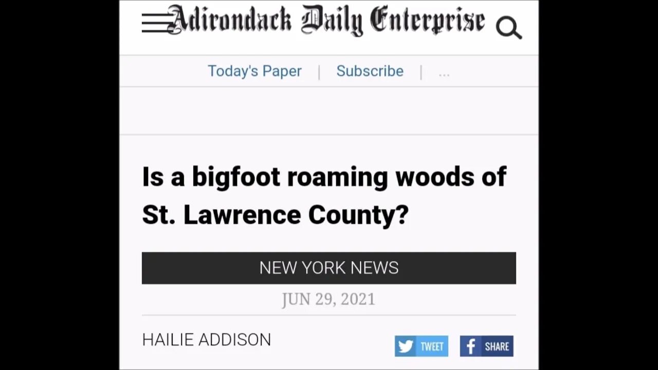 Is Bigfoot Roaming The Woods Of St Lawrence County Paranormal News