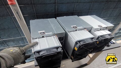 Bitcoin Hosting - Which Miner Is Best?