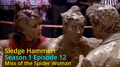 Sledge Hammer! S1-EP12 "Miss of the Spider Woman"