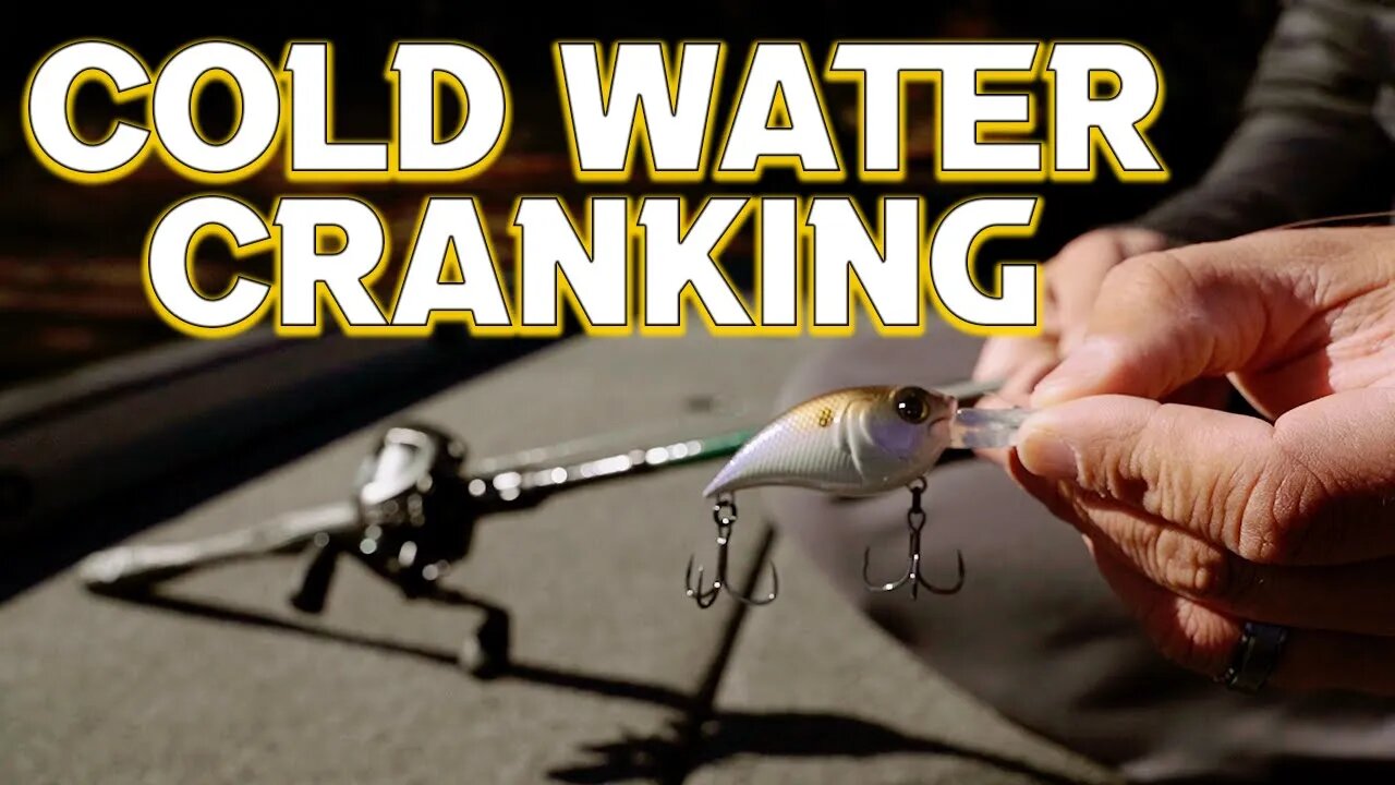 Prespawn Crankbait Fishing Tips (PRO SECRETS)