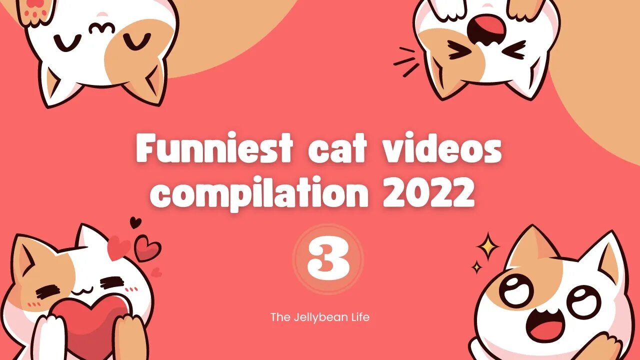 Funniest Cat Videos Compilation 2022😺 | Cats Can Make you Laugh within Minutes😹 | Part 3