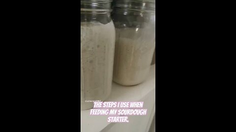 Sourdough starter