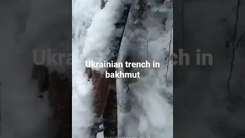 Ukrainian soldiers publish videos from the trenches in the Bakhmut direction #ukrainewar #bakhmut