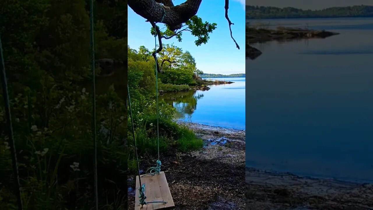 The swing at Loch Lomond on The West Highland Way #westhighlandway #lochlomond #shorts