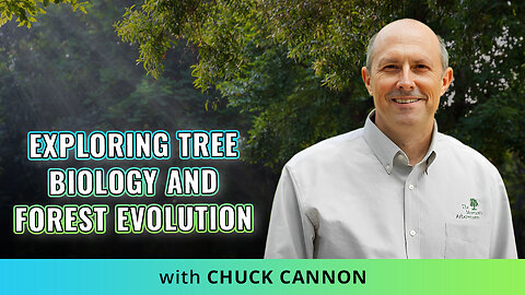 ✨ Exploring Tree Biology And Forest Evolution! 🌿