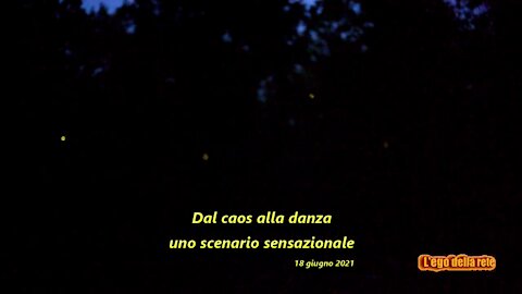 Dal caos alla danza - uno scenario sensazionale