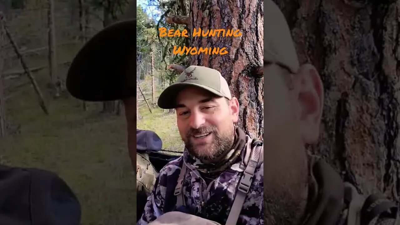 Wyoming Bear Hunting Hunting on Public Land