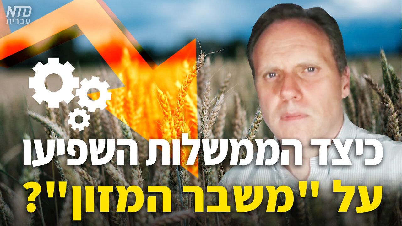 ?"כיצד הממשלות השפיעו על "משבר המזון
