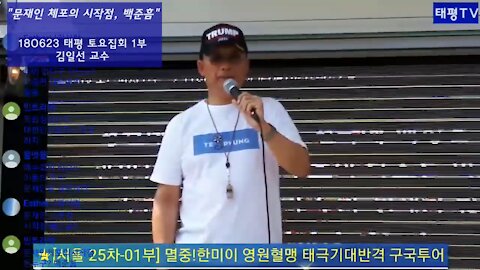 ★'문재인 체포의 시작, 백준흠!' [태평TV] 180623 (토) 태평 토요집회 1부 김일선 교수 연설