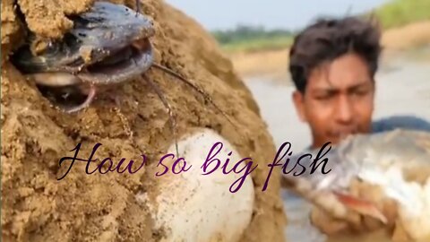 Amazing Daily life fishing following water river dry hill underground big fish#fish part 1