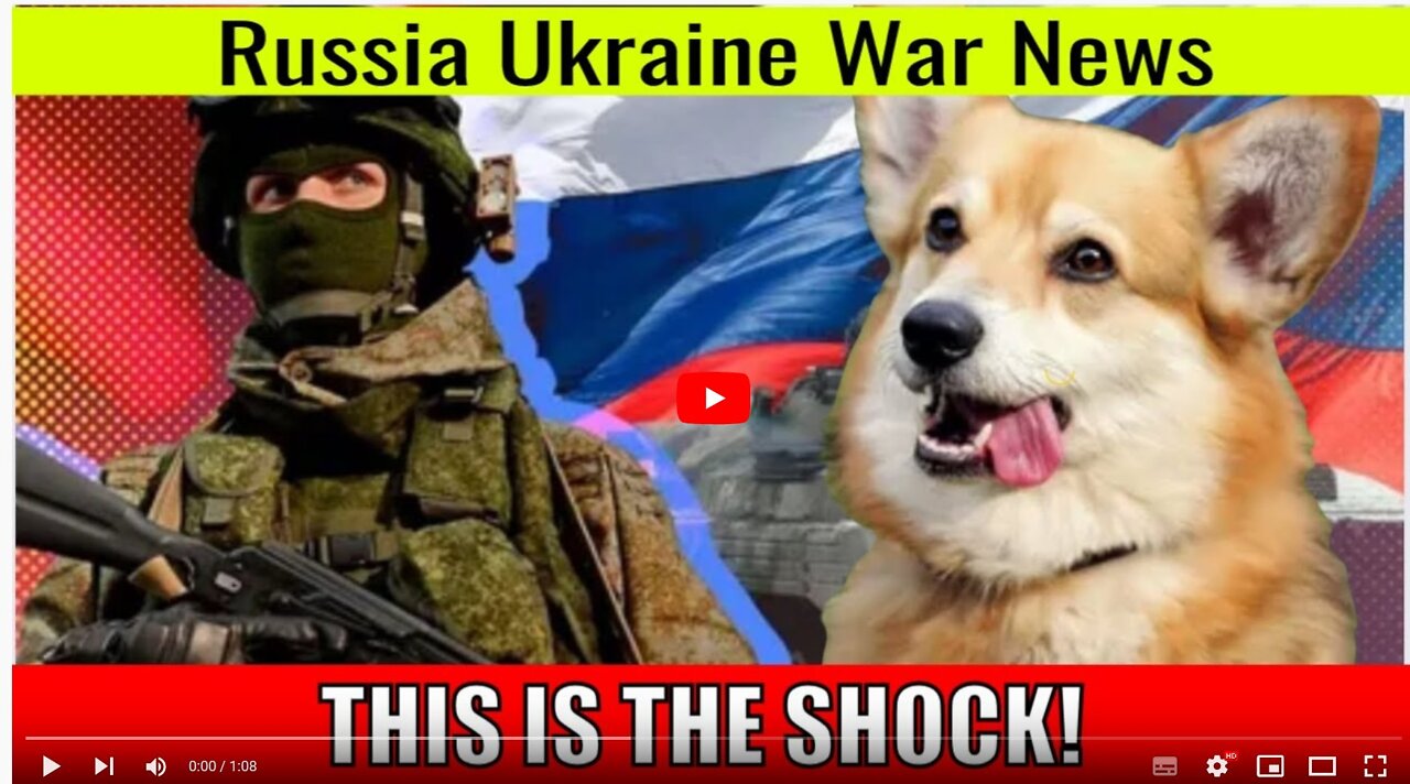 THIS IS THE SHOCK! Russian occupiers started eating dogs because of supply problems