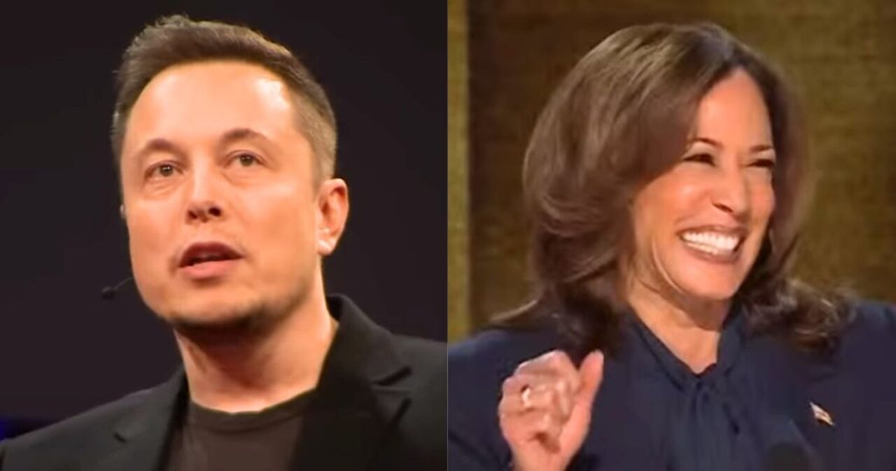 Elon Musk Predicts Dems Will Import, Legalize Enough Migrants to