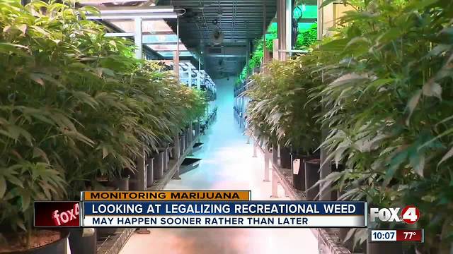 Recreational marijuana could be on the horizon