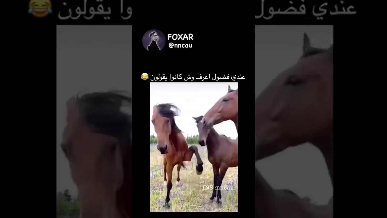 Ø§Ø¯Ø®Ù„ Ù„Ø­Ø³Ø§Ø¨ ÙŠÙ…ÙƒÙ† ØªØ­ØµÙ„ Ø´ÙŠ ÙŠØ¹Ø¬Ø¨Ùƒ Ù…Ù† Ø§Ù„Ø±ÙŠÙ„Ø² ÙˆØ§Ù„Ø¨ÙˆØ³ØªØ§Øª ----__._.