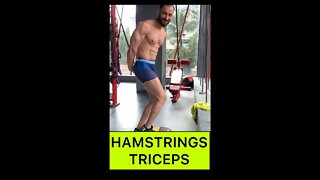 SHREDDED TRICEPS HAMSTRINGS #shorts