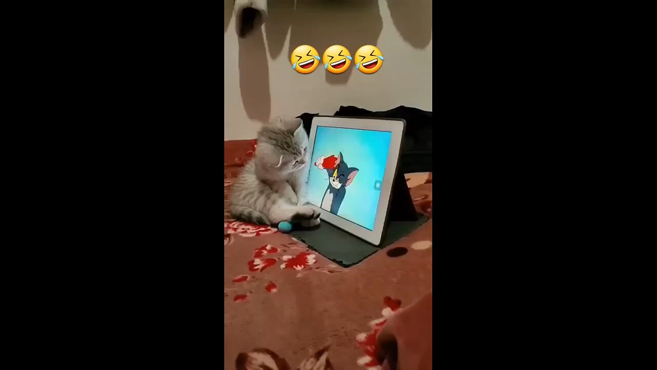 cute cat catching mouce in the screen