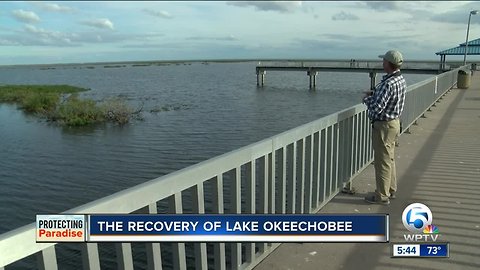 The recovery of Lake Okeechobee