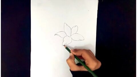 How To Draw Flowers Easy Step