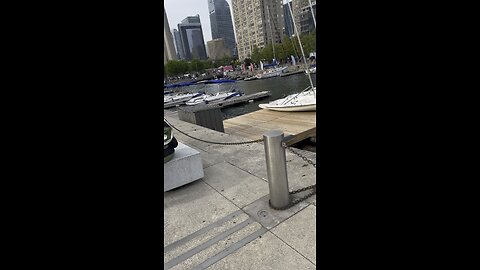 Downtown Toronto by the lake and CN TOWER