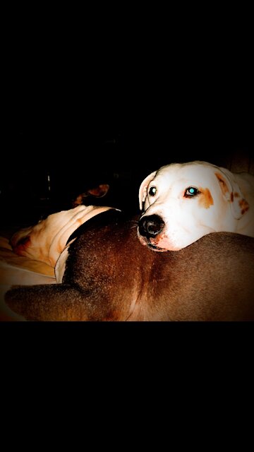 Twisting and turning