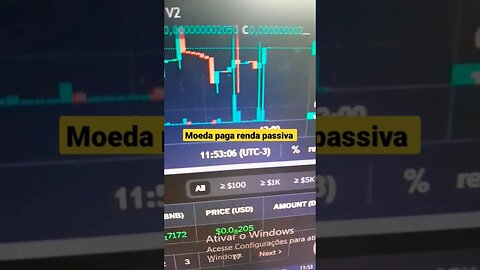 Moeda paga renda passiva projeto no começo