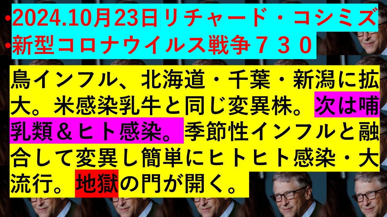 2024.10月23日リチャード・コシミズ•新型コロナウイルス戦争７３０