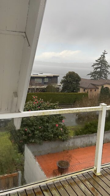 Loud winds over Lake Washington...