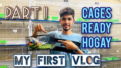 Birds Cages Ready Hogay | first vlog | part 1