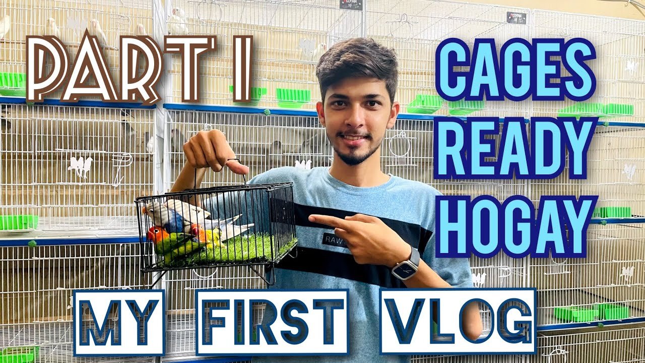 Birds Cages Ready Hogay | first vlog | part 1