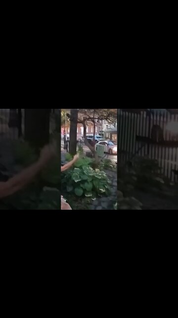 #tishjames #kathyhochul #leezeldin #nyc #elections2022 #newyorkcity #Stonewall #stonewallinn #lgbtq