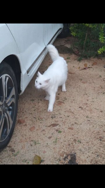 I wana check all these stuff friends