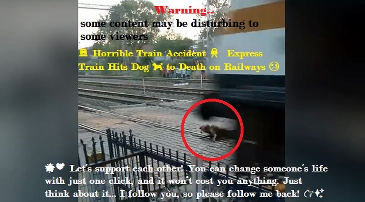 🚨 Horrible Train Accident 🚆 | Express Train Hits Dog 🐕 to Death on Railways 😢