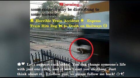 🚨 Horrible Train Accident 🚆 | Express Train Hits Dog 🐕 to Death on Railways 😢