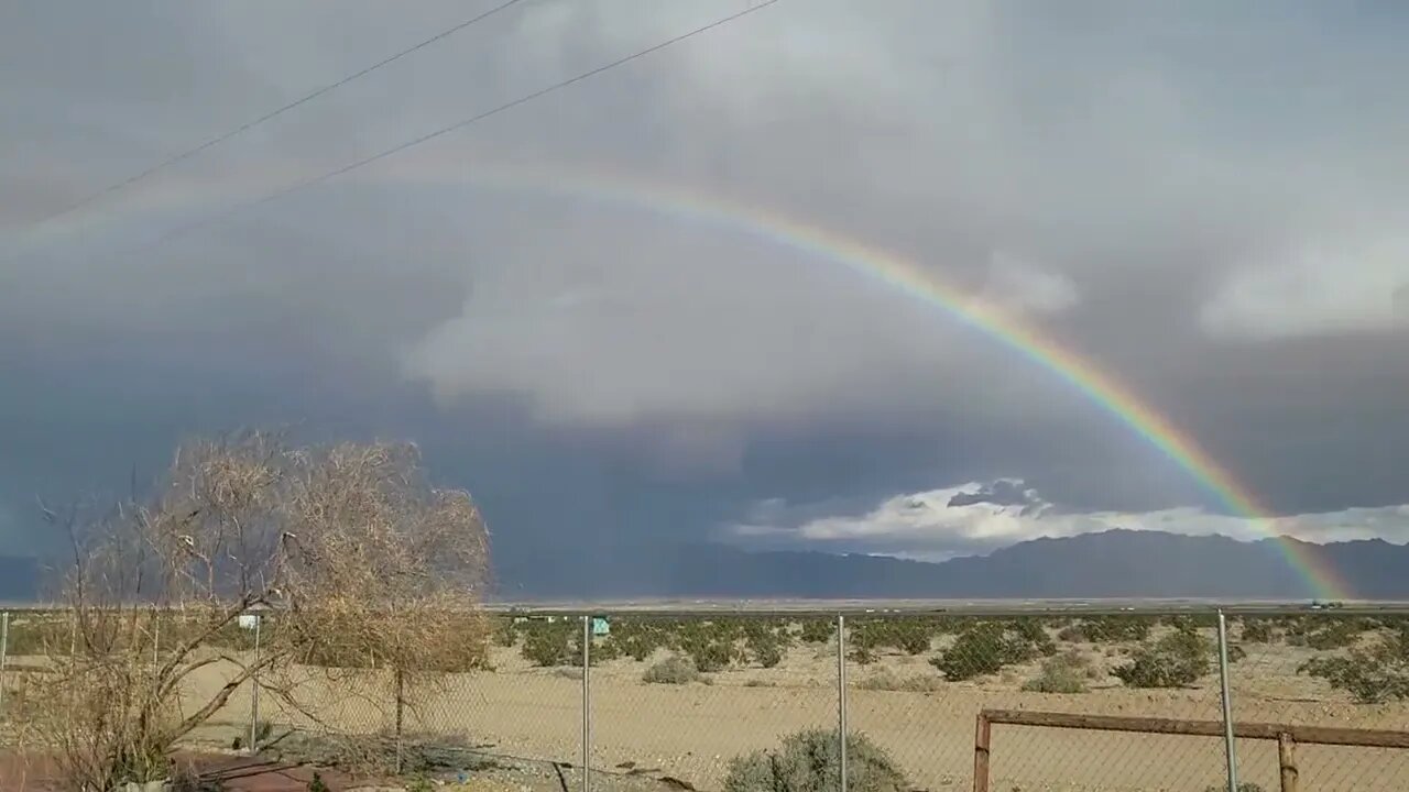 Tony Pizza 🌈 🍕