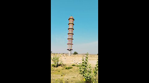 home of the Bird 🐔🐦🐦in Rajasthan