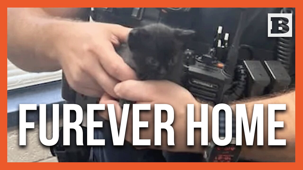 Furry Tale: Police Officer Adopts Kitten He Rescued from Roadway