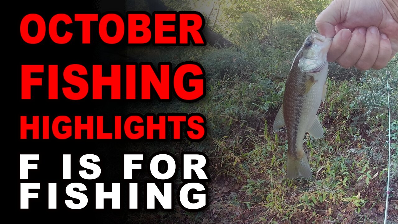 October Fishing Highlights