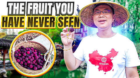 Chinese Bayberry: an Exquisite and Delicious Fruit