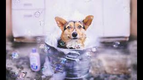 nothing with a good bath