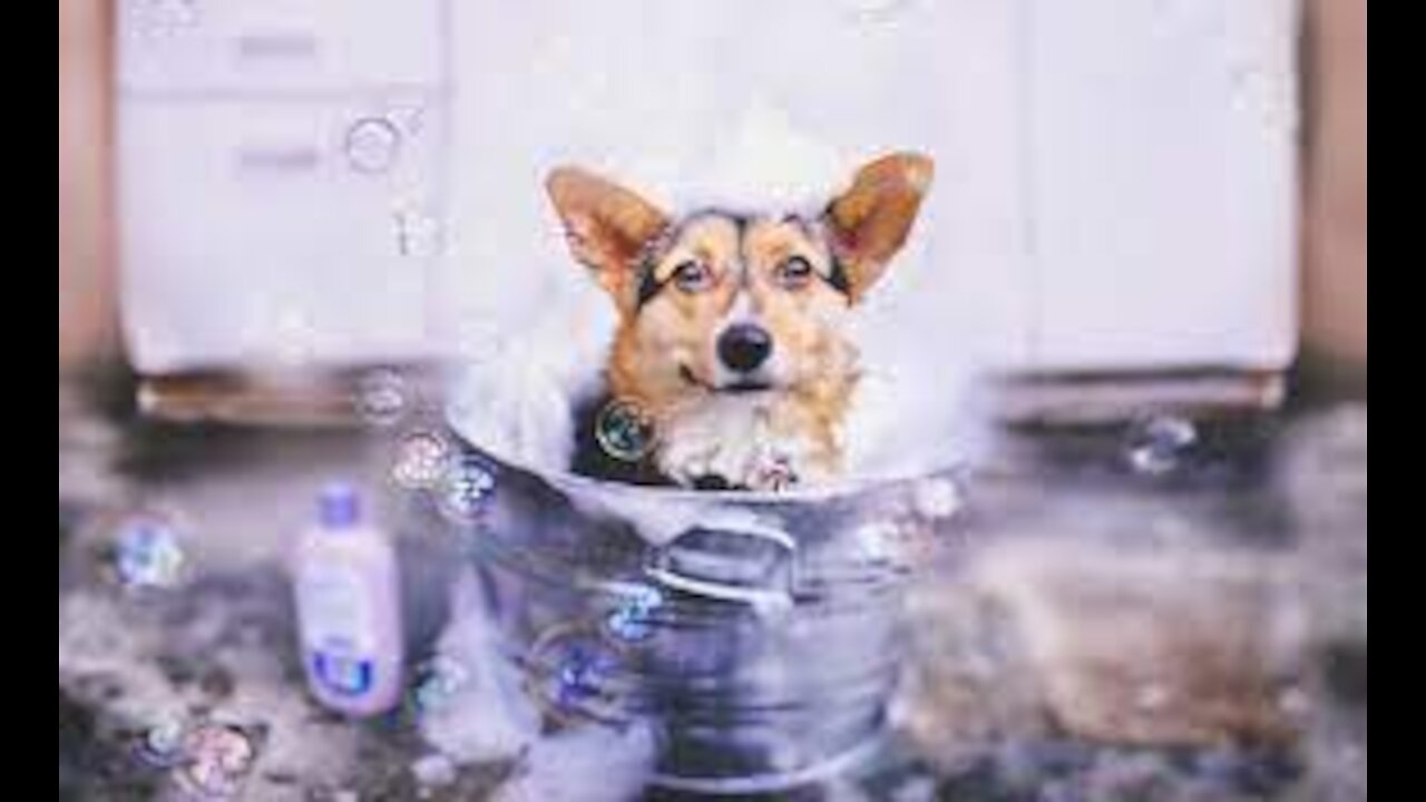 nothing with a good bath