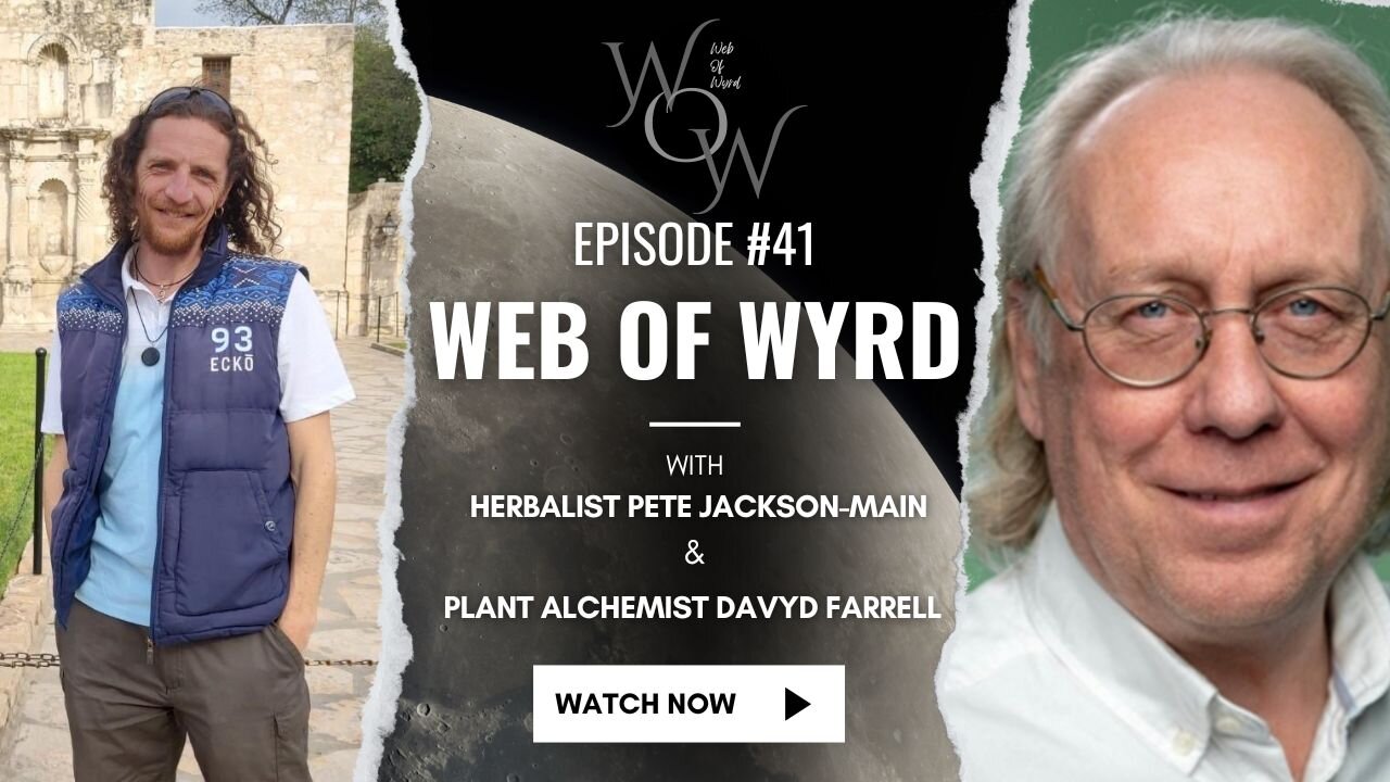 Web of Wyrd #41 - Full Moon, Monkey Business, Censorship, Division and Rose Power