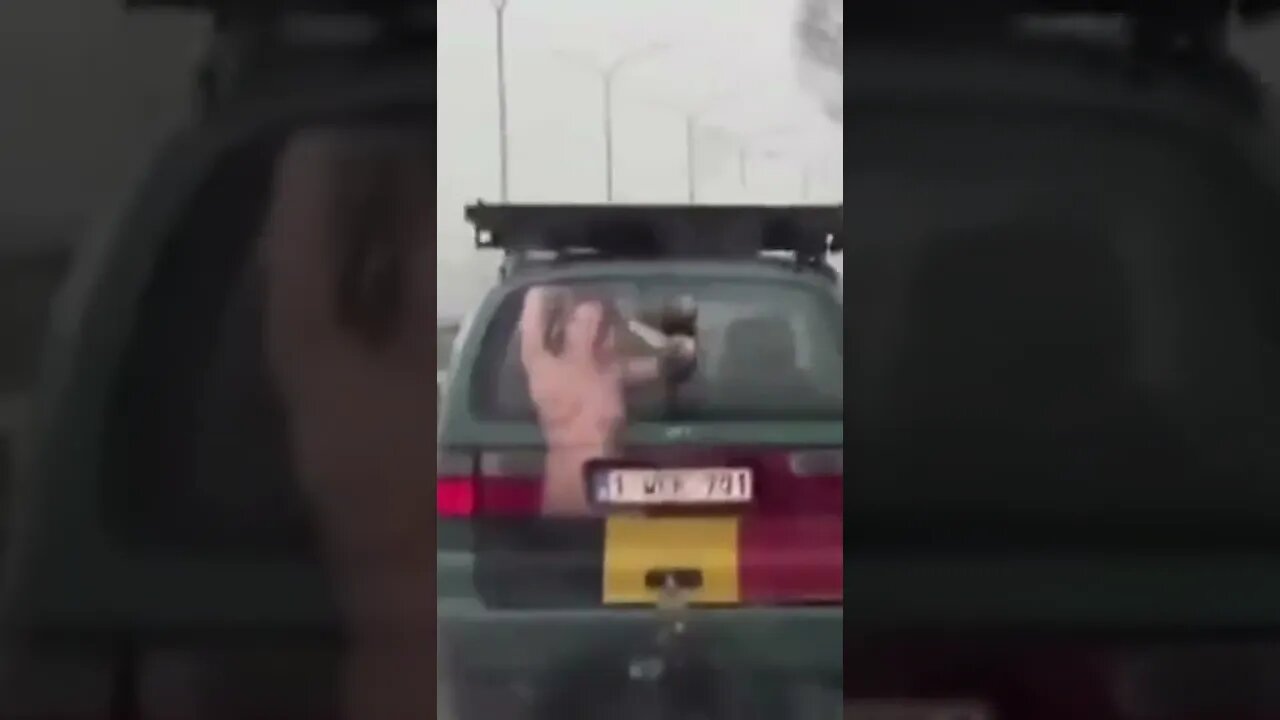 A very special windshield wiper #shorts