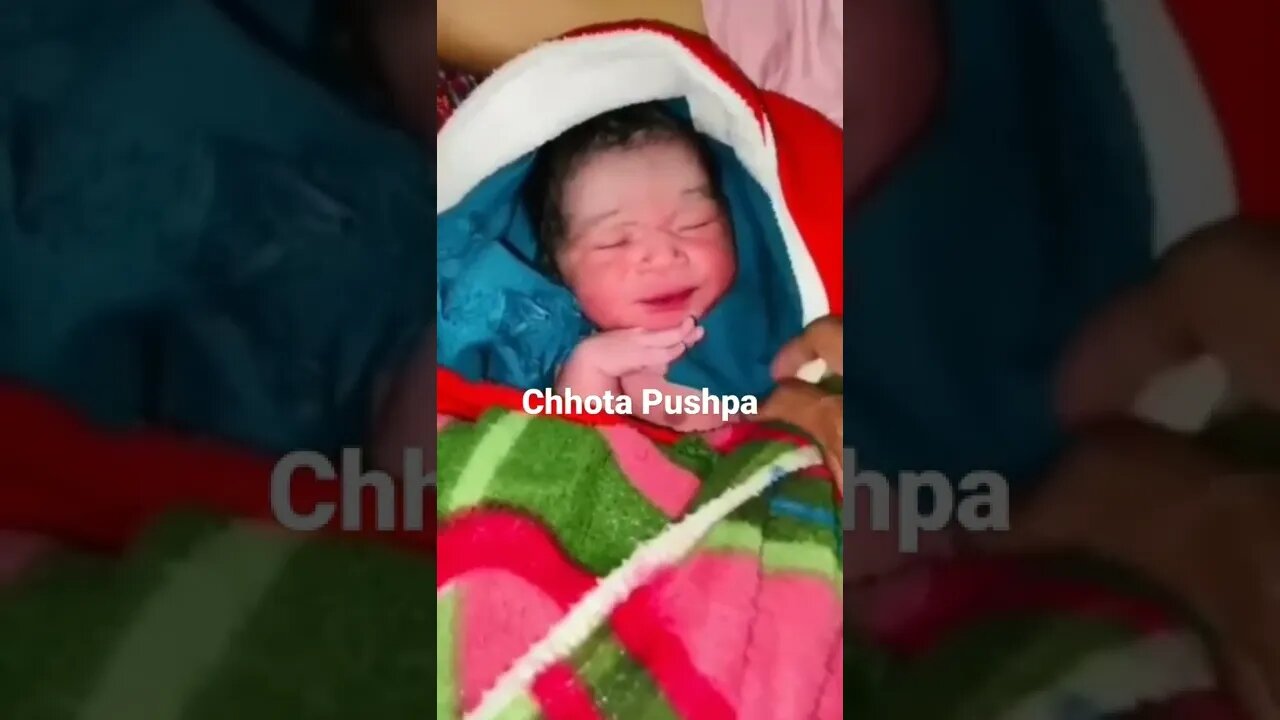 chhota pushpa #pushpa #chhotapushpa #mrnirajkumarhacker