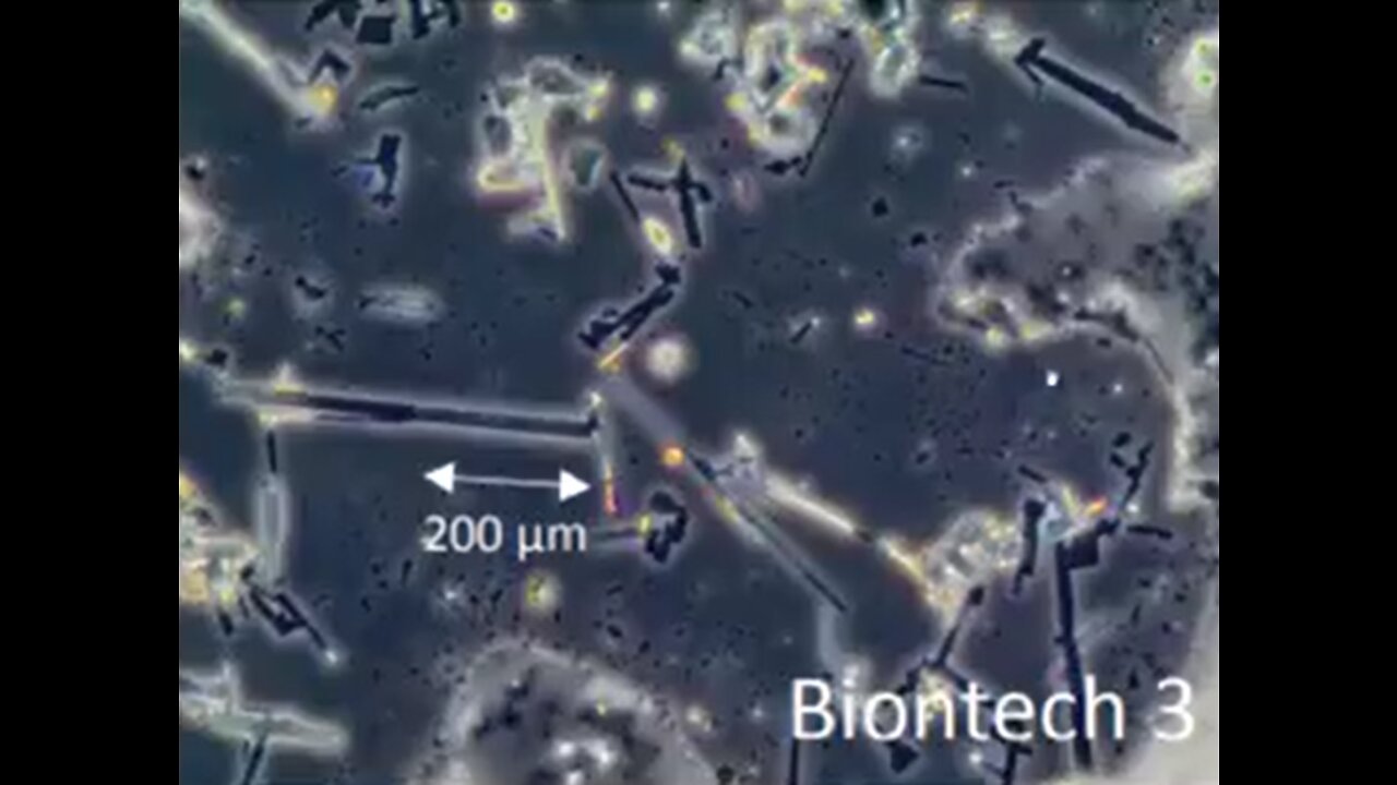 Self-Assembly Nanostructures in BioNTech, Astra Zeneca, J&J and Moderna vials