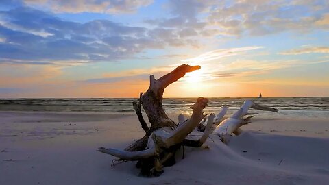 Beauty of Nature in Time lapse Witnessing Astonishing Changes in the Natural World