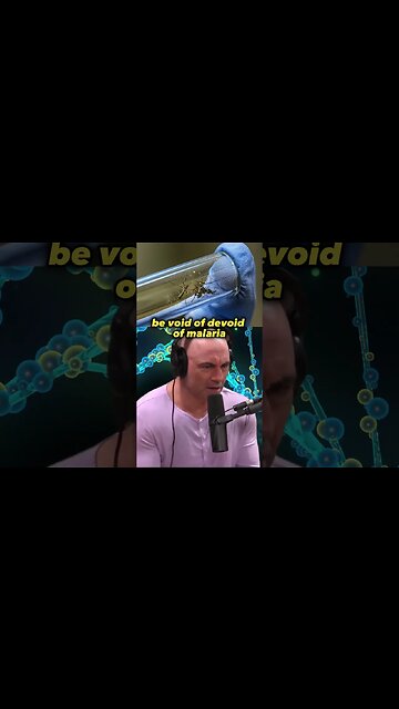 The Battle Against Malaria: Genetic Engineering and Mosquitoes | Joe Rogan & Forrest Galante #1240