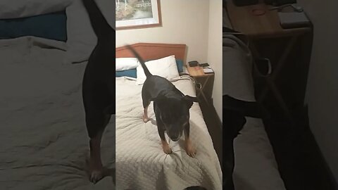 Max again