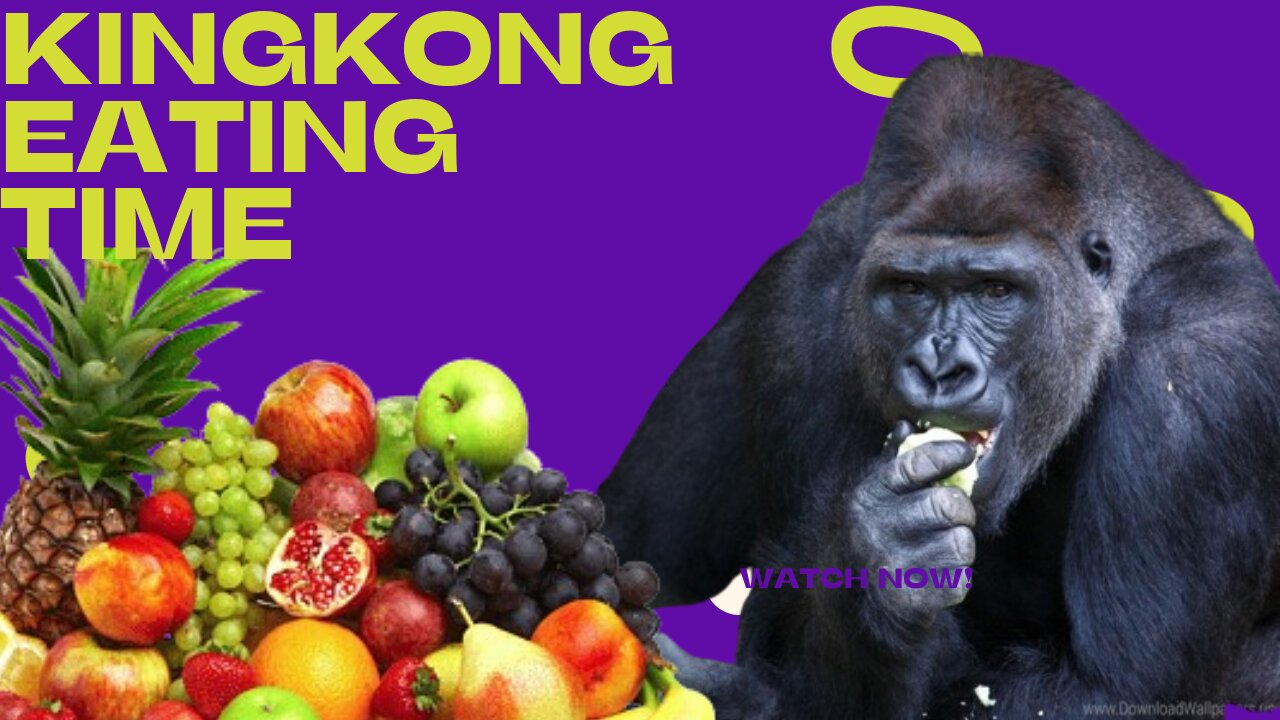 KINGKONG EATING TIME//VERY SATISFYING THE CRISPY SOUND..